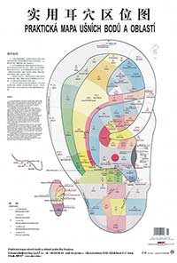 Body pro ušní akupunktura